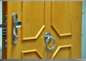 ADLO - Sicherheitstür TESIM, beleistet LB 420, Eingangstür mit Türklopfer